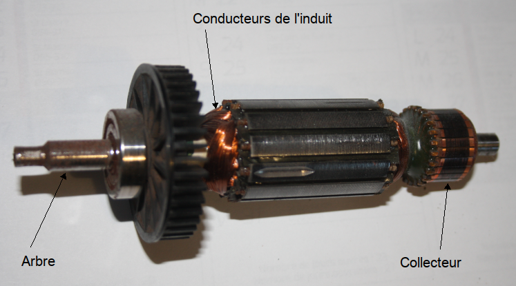 Rotor ou induit